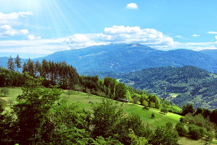 Wellness schwarzwald für single