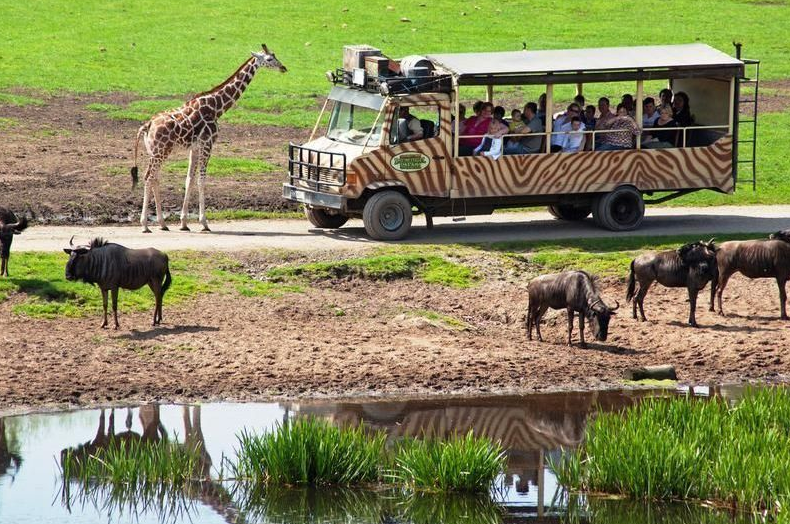 serengeti park safari express