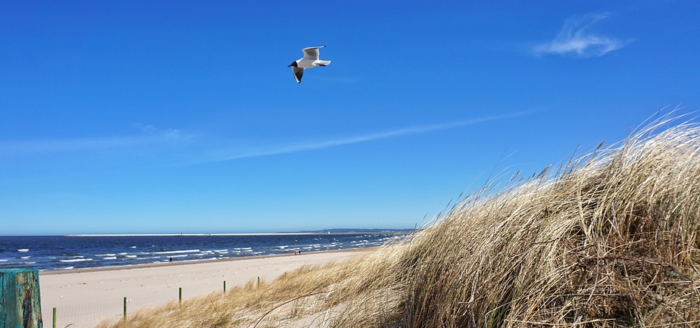 polnische ostsee strand meer