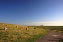 nordsee buesum deich