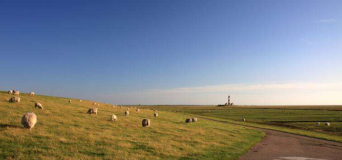 nordsee buesum deich