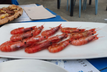 gamba rojo al forn denia
